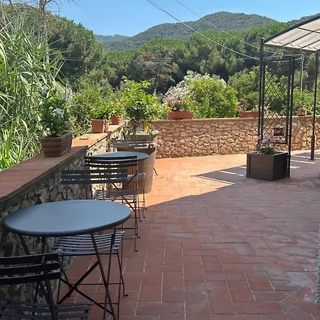 Elbitat Homes شقة فندقية Bagnaia (Livorno)