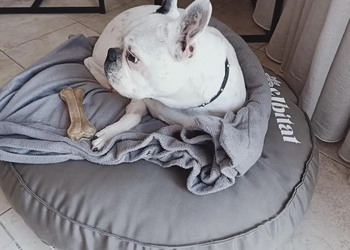 Elbitat Homes Wellness&spa